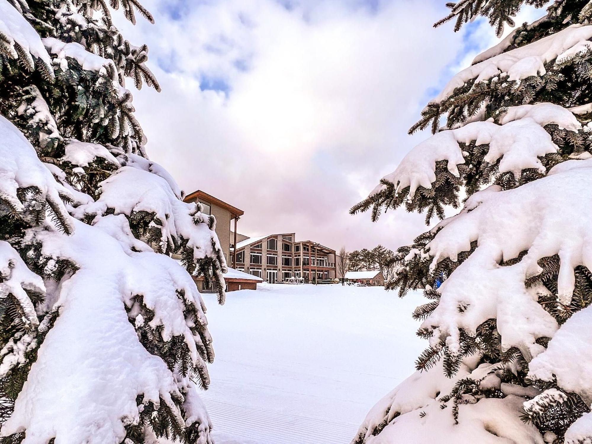 Chalet In Masthope Community